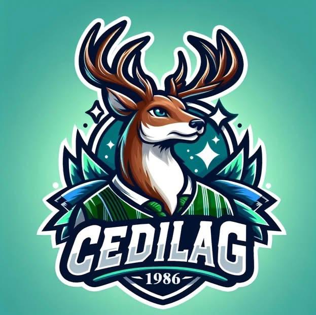 Historia CEDILAG